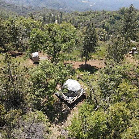 Enchanted Forest Dome ,10-15 Minutes To Kings Canyons-New Pellet Stove For Cozy Warm Nights Dunlap Zewnętrze zdjęcie