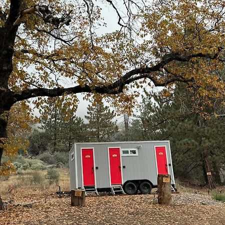 Enchanted Forest Dome ,10-15 Minutes To Kings Canyons-New Pellet Stove For Cozy Warm Nights Dunlap Zewnętrze zdjęcie