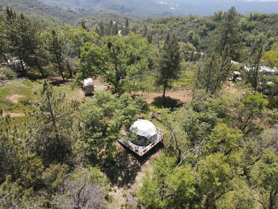 Enchanted Forest Dome ,10-15 Minutes To Kings Canyons-New Pellet Stove For Cozy Warm Nights Dunlap Zewnętrze zdjęcie